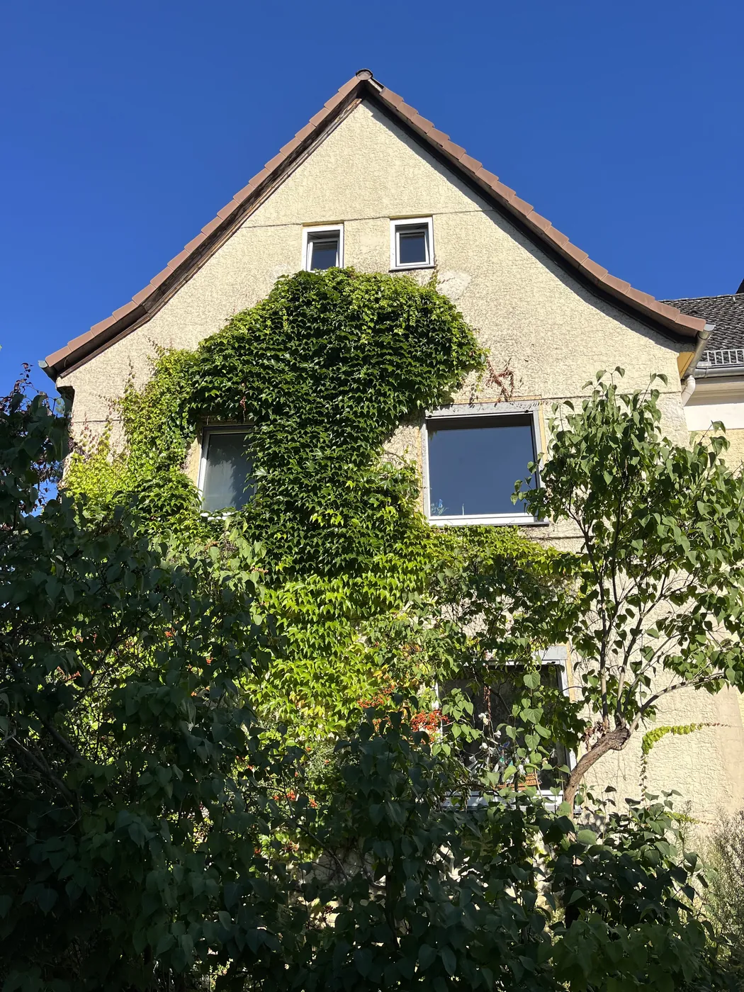 Hausgiebel mit Efeu