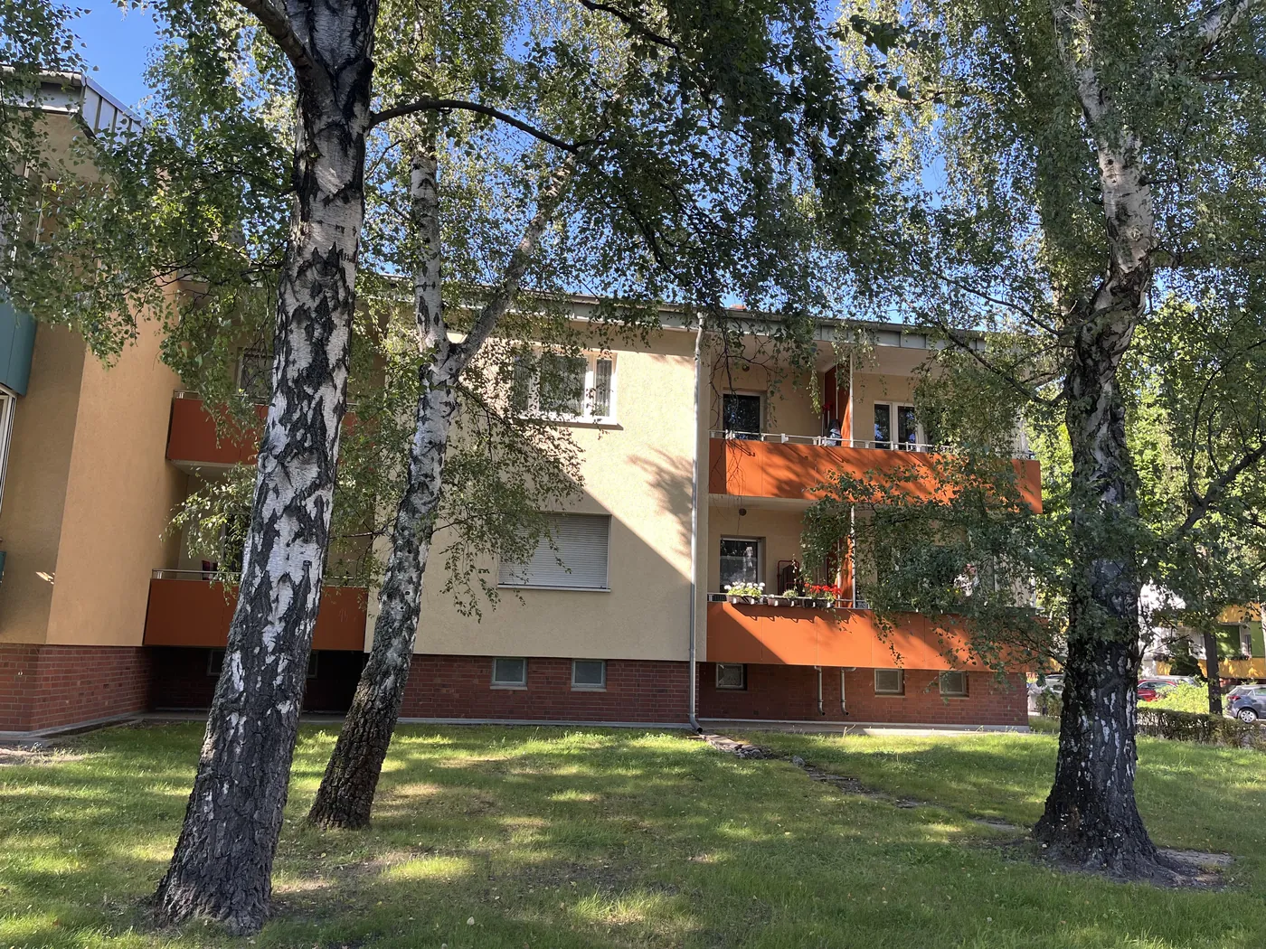 Mehrfamilienhaus mit Birken