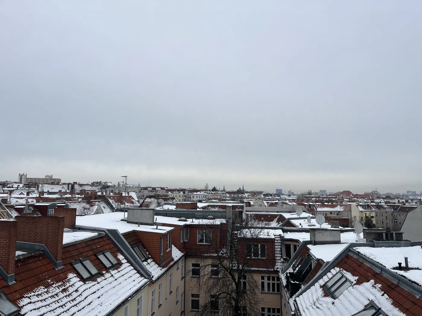 Berliner Dächer im Winter